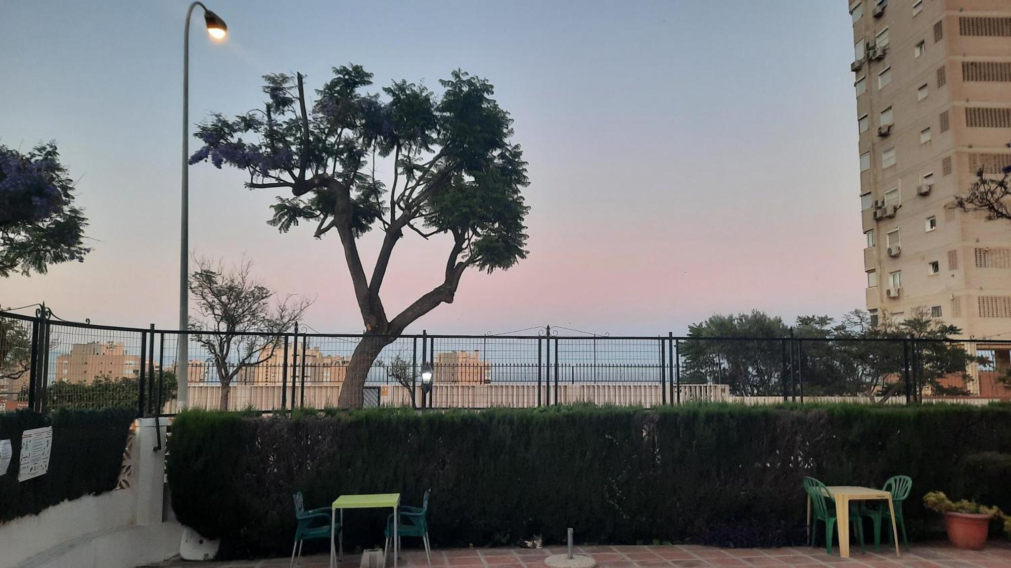 Feel At Home At Tamara Apartment - Two Steps To The Pool トレモリノス エクステリア 写真